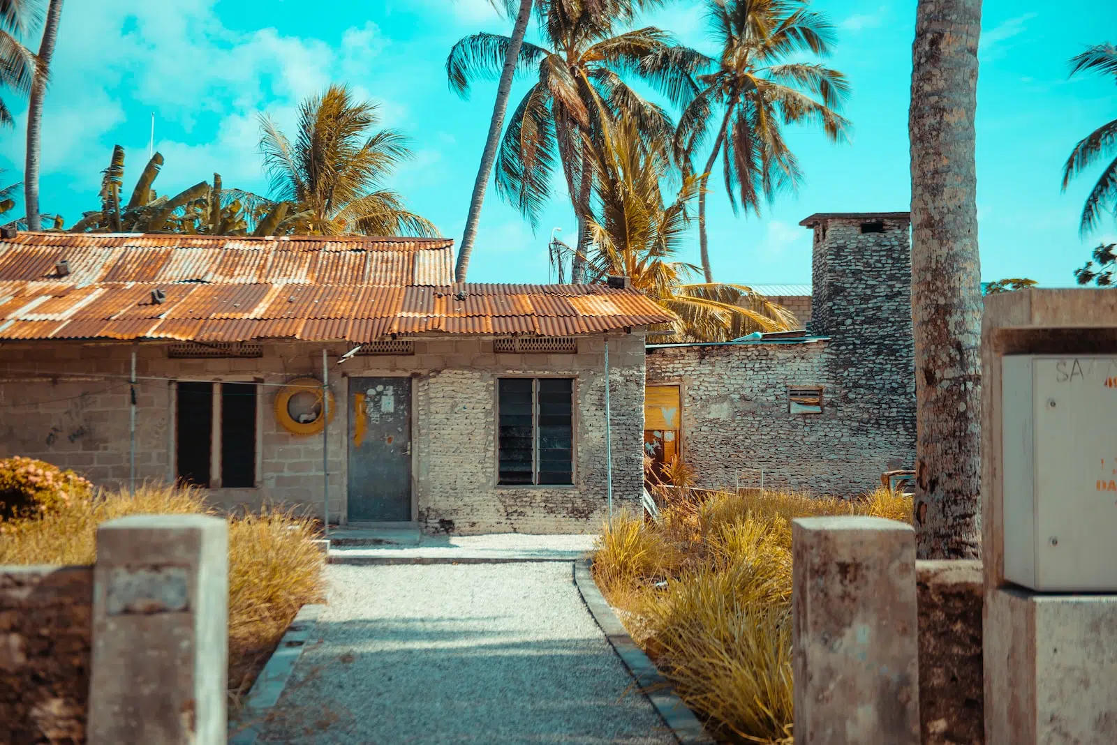 view of abandoned house