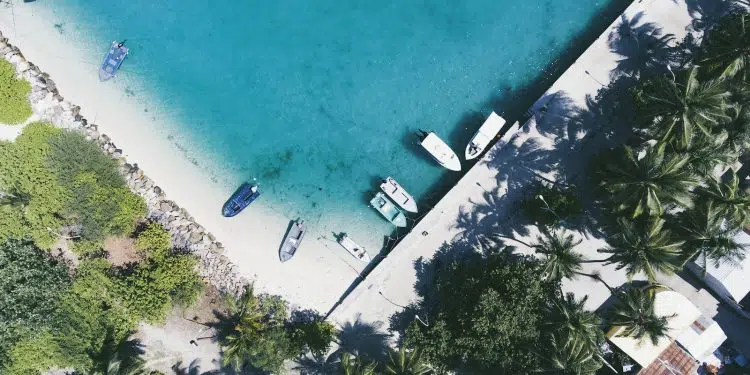 aerial photography of boats docked near shore